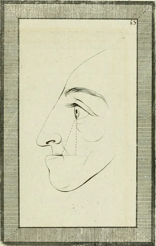 An illustration from Essai sur la physiognomonie : destiné a faire connoître l'homme & à le faire aimer, 1781, leaf 388