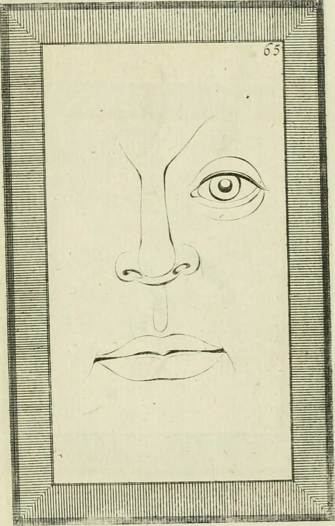 An illustration from Essai sur la physiognomonie : destiné a faire connoître l'homme & à le faire aimer, 1781, leaf 390