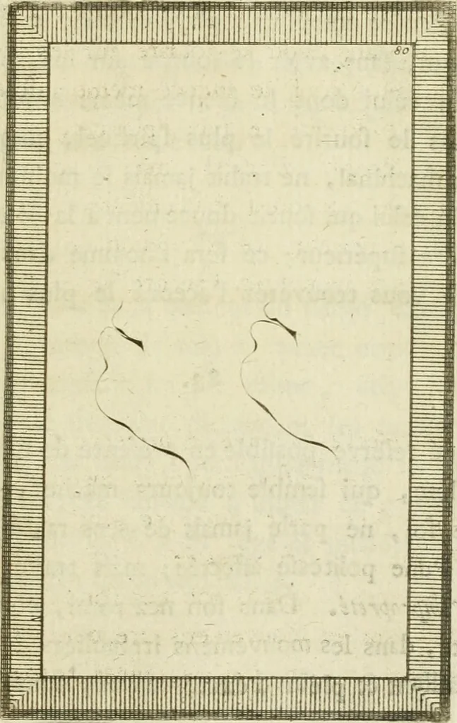An illustration from Essai sur la physiognomonie : destiné a faire connoître l'homme & à le faire aimer, 1781, leaf 400