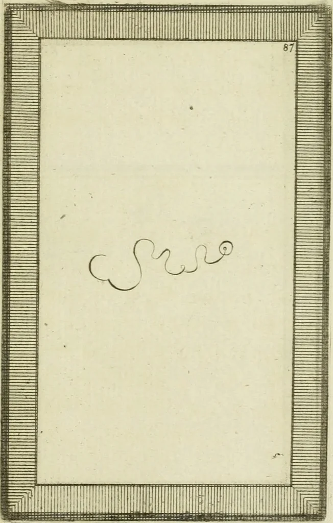 An illustration from Essai sur la physiognomonie : destiné a faire connoître l'homme & à le faire aimer, 1781, leaf 404