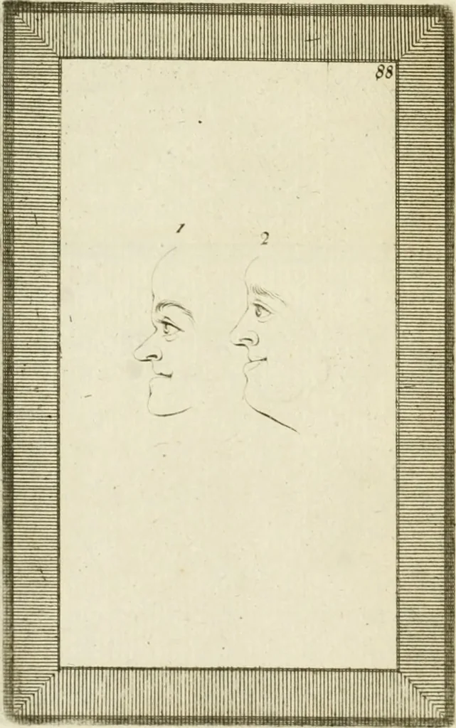 An illustration from Essai sur la physiognomonie : destiné a faire connoître l'homme & à le faire aimer, 1781, leaf 405
