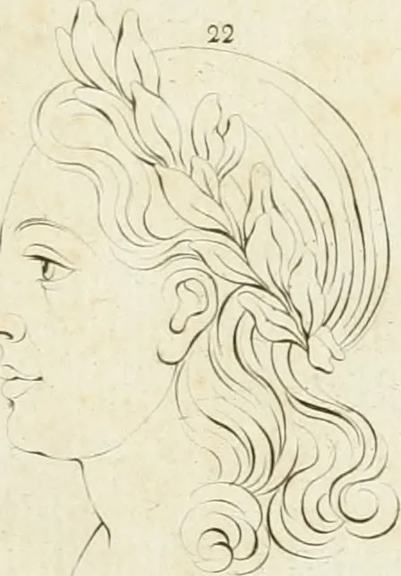An illustration from Essai sur la physiognomonie : destiné a faire connoître l'homme & à le faire aimer, 1781, leaf 424