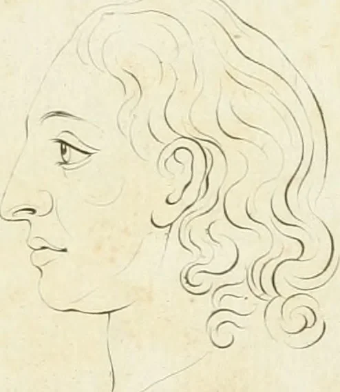 An illustration from Essai sur la physiognomonie : destiné a faire connoître l'homme & à le faire aimer, 1781, leaf 424
