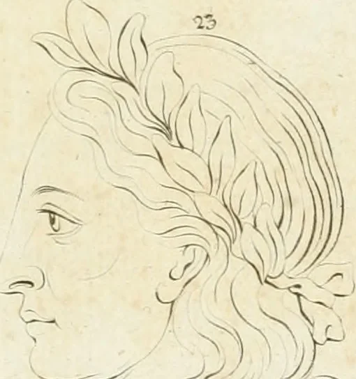 An illustration from Essai sur la physiognomonie : destiné a faire connoître l'homme & à le faire aimer, 1781, leaf 424