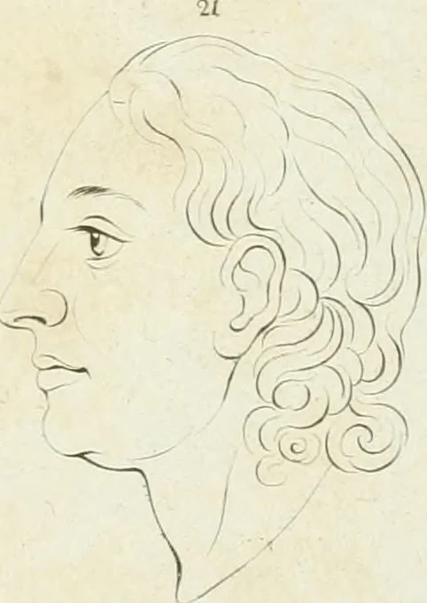 An illustration from Essai sur la physiognomonie : destiné a faire connoître l'homme & à le faire aimer, 1781, leaf 424