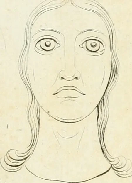 An illustration from Essai sur la physiognomonie : destiné a faire connoître l'homme & à le faire aimer, 1781, leaf 428