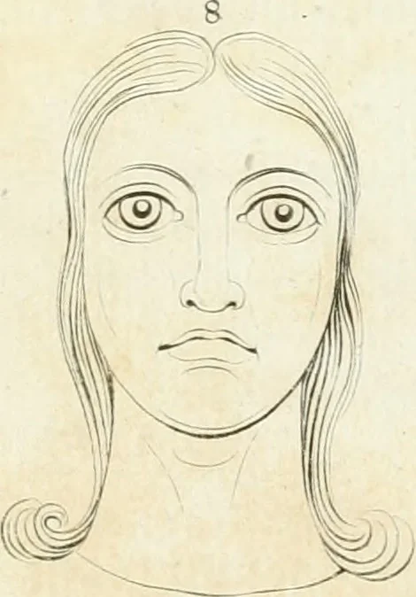 An illustration from Essai sur la physiognomonie : destiné a faire connoître l'homme & à le faire aimer, 1781, leaf 428