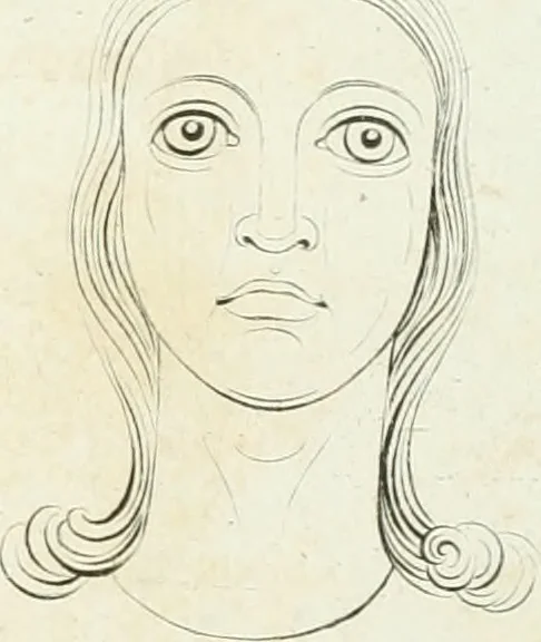 An illustration from Essai sur la physiognomonie : destiné a faire connoître l'homme & à le faire aimer, 1781, leaf 428