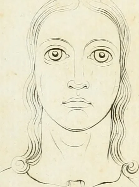 An illustration from Essai sur la physiognomonie : destiné a faire connoître l'homme & à le faire aimer, 1781, leaf 428