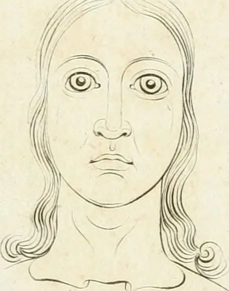 An illustration from Essai sur la physiognomonie : destiné a faire connoître l'homme & à le faire aimer, 1781, leaf 428