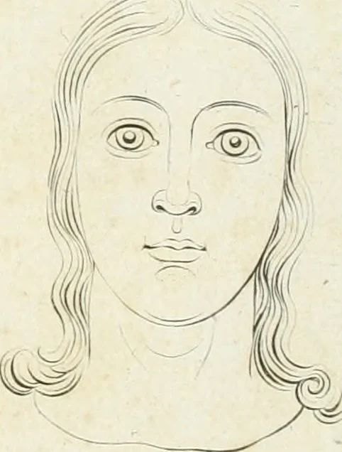 An illustration from Essai sur la physiognomonie : destiné a faire connoître l'homme & à le faire aimer, 1781, leaf 428