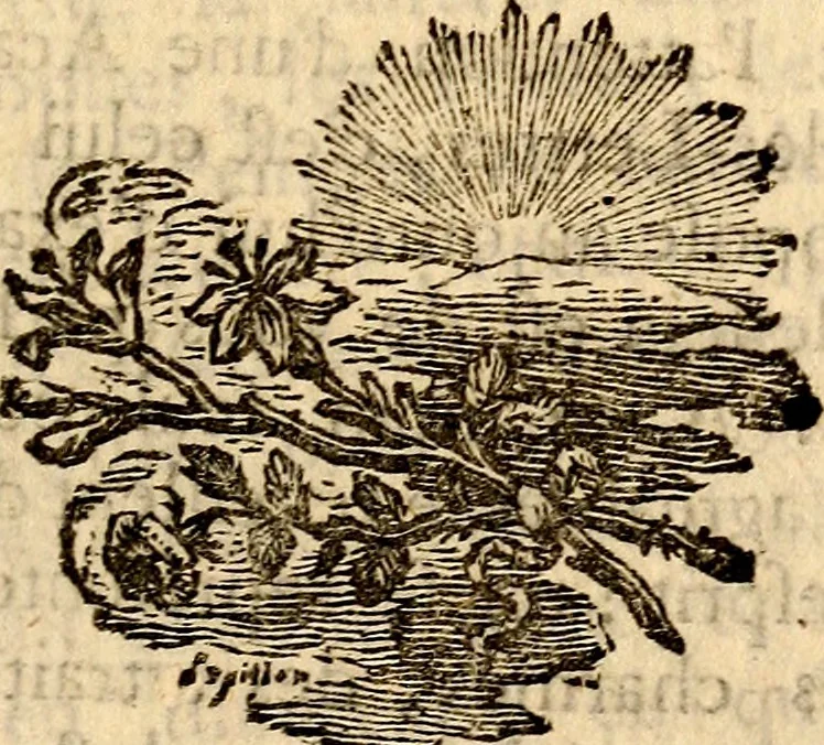 An illustration from Essai sur le beau : augmentée de six discours : sur le modus, sur le decorum, sur les graces, sur l'amour du beau, sur l'amour désintéressé, 1770, leaf 306