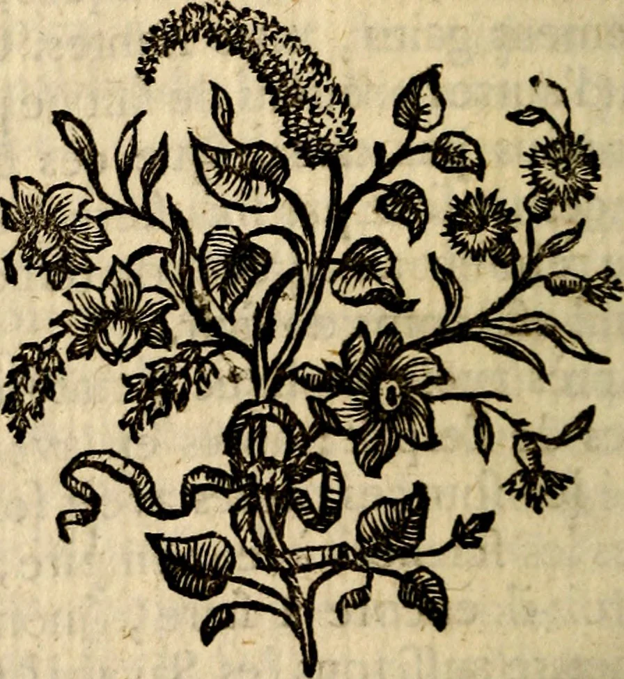 An illustration from Essai sur le beau : augmentée de six discours : sur le modus, sur le decorum, sur les graces, sur l'amour du beau, sur l'amour désintéressé, 1770, leaf 353