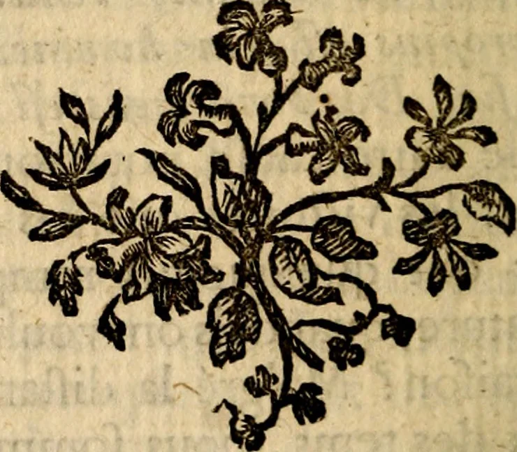 An illustration from Essai sur le beau : augmentée de six discours : sur le modus, sur le decorum, sur les graces, sur l'amour du beau, sur l'amour désintéressé, 1770, leaf 409