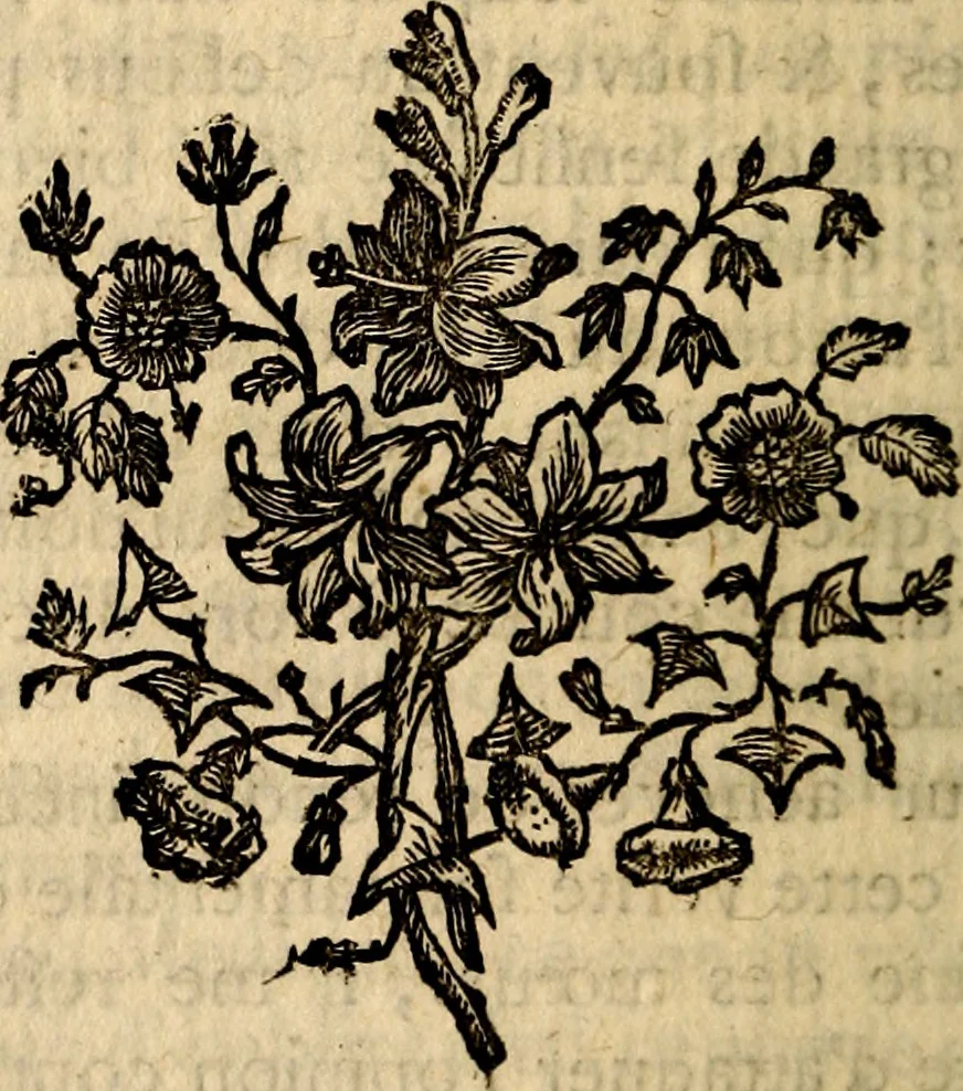 An illustration from Essai sur le beau : augmentée de six discours : sur le modus, sur le decorum, sur les graces, sur l'amour du beau, sur l'amour désintéressé, 1770, leaf 451