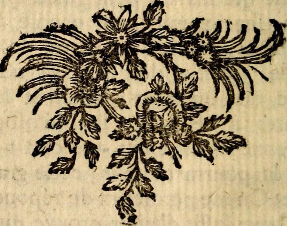 An illustration from Essai sur le beau : augmentée de six discours : sur le modus, sur le decorum, sur les graces, sur l'amour du beau, sur l'amour désintéressé, 1770, leaf 99