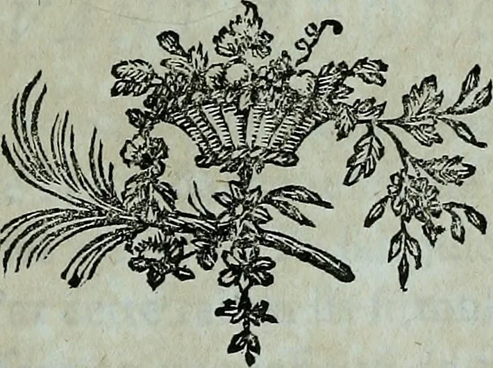 An illustration from Essai sur les jardins, 1774, leaf 6