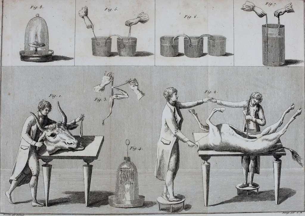 An illustration from Essai théorique et expérimental sur le galvanisme : avec une série d'expériences faites en présence des commissaires de l'Institut national de France, et en divers amphithéatres anatomiques de Londres, 1804, leaf 378