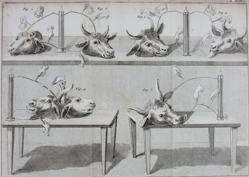 An illustration from Essai théorique et expérimental sur le galvanisme : avec une série d'expériences faites en présence des commissaires de l'Institut national de France, et en divers amphithéatres anatomiques de Londres, 1804, leaf 380