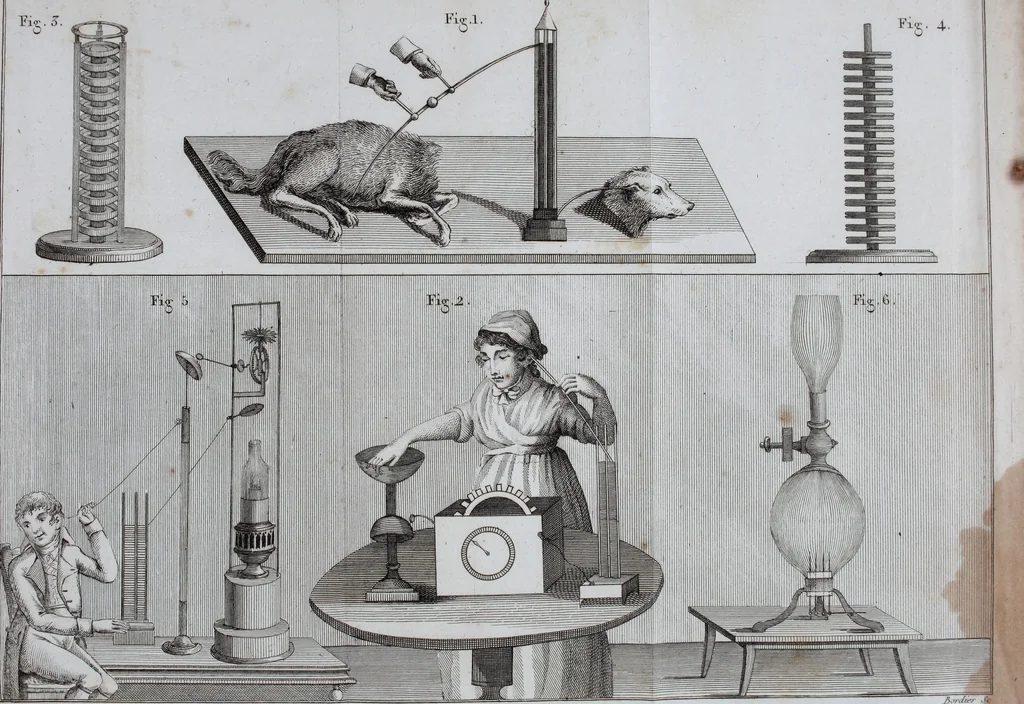 An illustration from Essai théorique et expérimental sur le galvanisme : avec une série d'expériences faites en présence des commissaires de l'Institut national de France, et en divers amphithéatres anatomiques de Londres, 1804, leaf 388