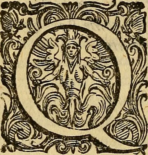 An illustration from Essame de gl'ingegni de gli hvomini, per apprender le scienze: nel quale, scoprendosi la varietà delle nature, si mostra, a che professione sia atto ciascuno,, 1582, leaf 13
