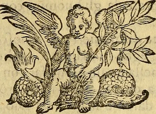 An illustration from Essame de gl'ingegni de gli hvomini, per apprender le scienze: nel quale, scoprendosi la varietà delle nature, si mostra, a che professione sia atto ciascuno,, 1582, leaf 17