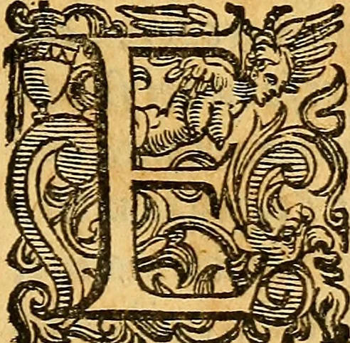 An illustration from Essame de gl'ingegni de gli hvomini, per apprender le scienze: nel quale, scoprendosi la varietà delle nature, si mostra, a che professione sia atto ciascuno,, 1582, leaf 20