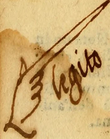 An illustration from Essame de gl'ingegni de gli hvomini, per apprender le scienze: nel quale, scoprendosi la varietà delle nature, si mostra, a che professione sia atto ciascuno,, 1582, leaf 313