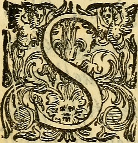 An illustration from Essame de gl'ingegni de gli hvomini, per apprender le scienze: nel quale, scoprendosi la varietà delle nature, si mostra, a che professione sia atto ciascuno,, 1582, leaf 6