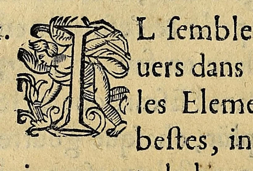 An illustration from Essay des merueilles de nature, et des plus nobles artifices : piece tres-necessaire à tous ceux qui font profession d'eloquence, 1622, leaf 138