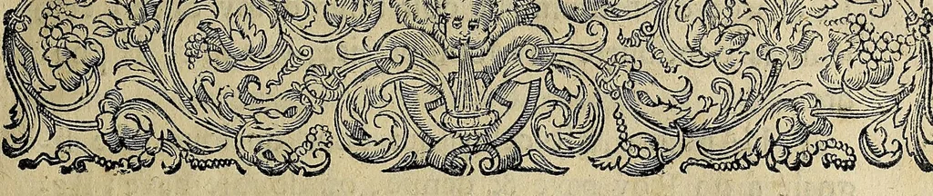 An illustration from Essay des merueilles de nature, et des plus nobles artifices : piece tres-necessaire à tous ceux qui font profession d'eloquence, 1622, leaf 155