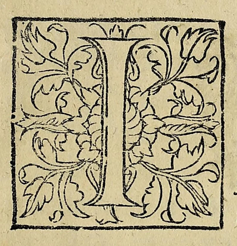 An illustration from Essay des merueilles de nature, et des plus nobles artifices : piece tres-necessaire à tous ceux qui font profession d'eloquence, 1622, leaf 17