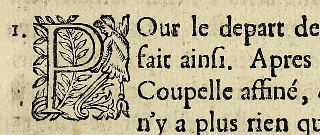 An illustration from Essay des merueilles de nature, et des plus nobles artifices : piece tres-necessaire à tous ceux qui font profession d'eloquence, 1622, leaf 231