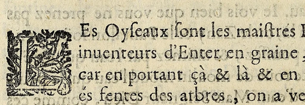 An illustration from Essay des merueilles de nature, et des plus nobles artifices : piece tres-necessaire à tous ceux qui font profession d'eloquence, 1622, leaf 308