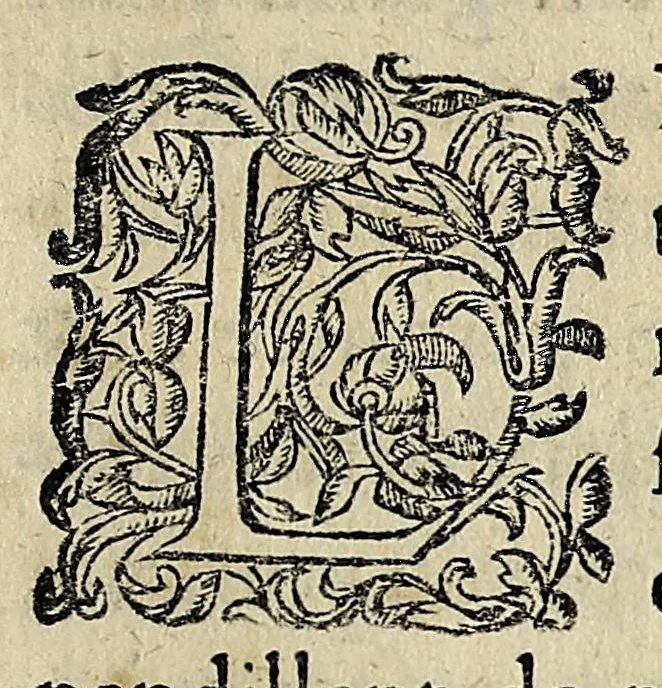 An illustration from Essay des merueilles de nature, et des plus nobles artifices : piece tres-necessaire à tous ceux qui font profession d'eloquence, 1622, leaf 311
