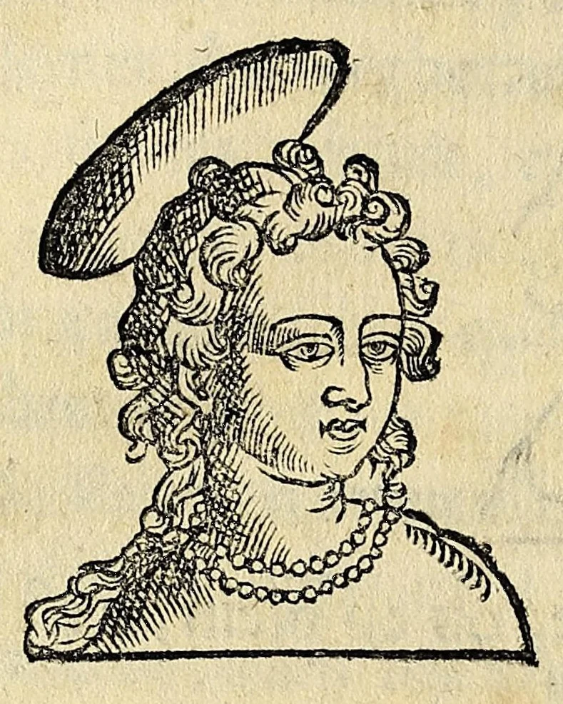 An illustration from Essay des merueilles de nature, et des plus nobles artifices : piece tres-necessaire à tous ceux qui font profession d'eloquence, 1622, leaf 338