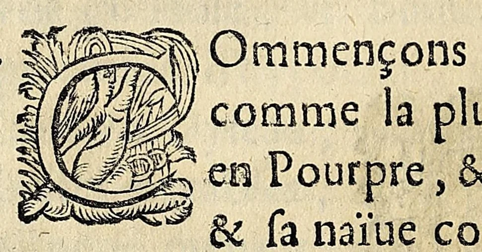An illustration from Essay des merueilles de nature, et des plus nobles artifices : piece tres-necessaire à tous ceux qui font profession d'eloquence, 1622, leaf 402