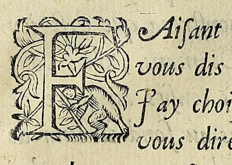 An illustration from Essay des merueilles de nature, et des plus nobles artifices : piece tres-necessaire à tous ceux qui font profession d'eloquence, 1622, leaf 409