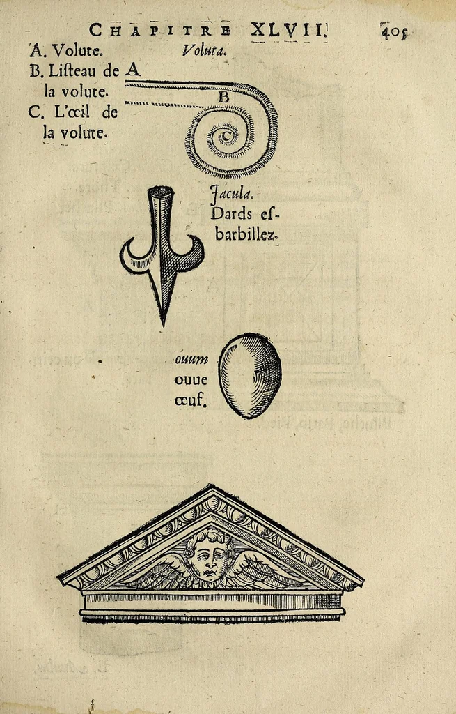 An illustration from Essay des merueilles de nature, et des plus nobles artifices : piece tres-necessaire à tous ceux qui font profession d'eloquence, 1622, leaf 431