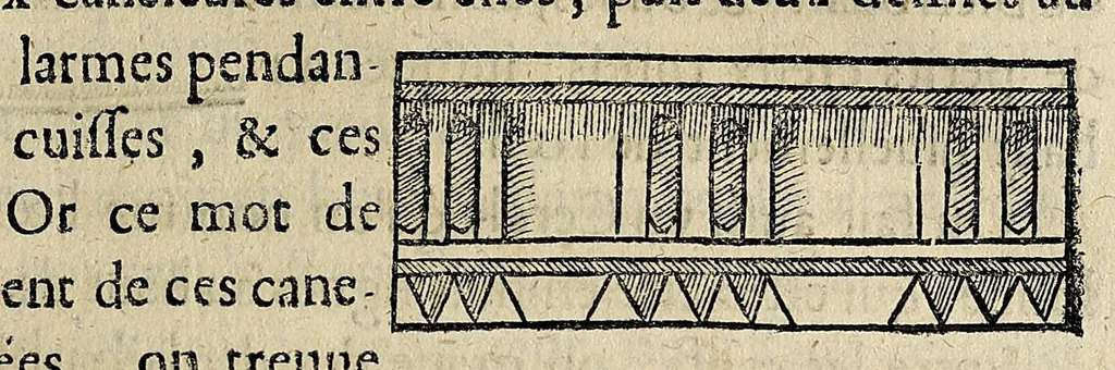 An illustration from Essay des merueilles de nature, et des plus nobles artifices : piece tres-necessaire à tous ceux qui font profession d'eloquence, 1622, leaf 445