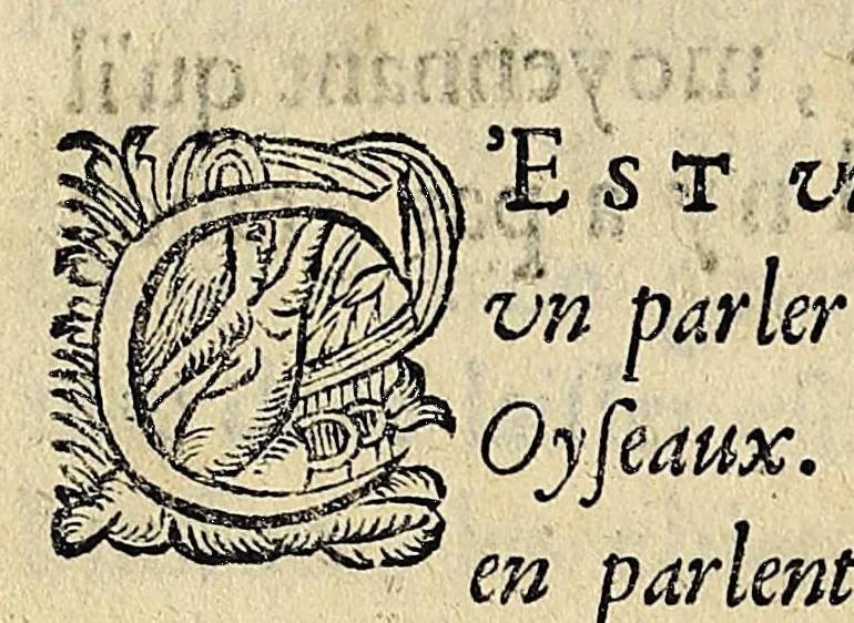 An illustration from Essay des merueilles de nature, et des plus nobles artifices : piece tres-necessaire à tous ceux qui font profession d'eloquence, 1622, leaf 50