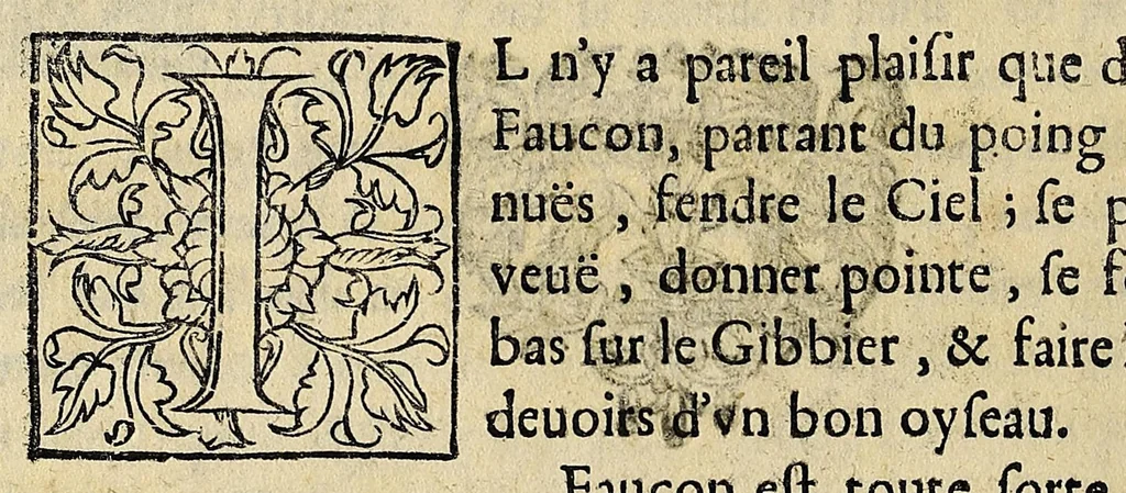 An illustration from Essay des merueilles de nature, et des plus nobles artifices : piece tres-necessaire à tous ceux qui font profession d'eloquence, 1622, leaf 52