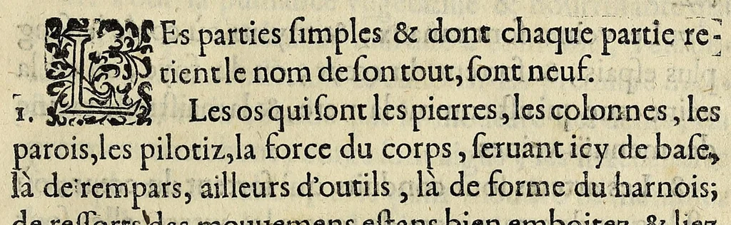 An illustration from Essay des merueilles de nature, et des plus nobles artifices : piece tres-necessaire à tous ceux qui font profession d'eloquence, 1622, leaf 549