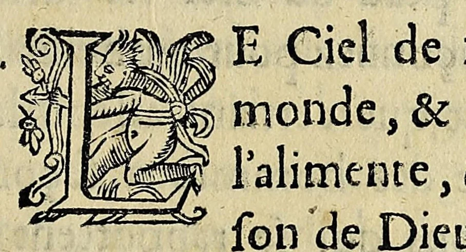 An illustration from Essay des merueilles de nature, et des plus nobles artifices : piece tres-necessaire à tous ceux qui font profession d'eloquence, 1622, leaf 593