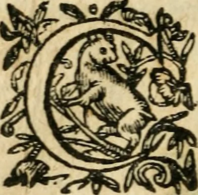 An illustration from Essay des merveilles de natvre et des plvs nobles actifices. Piece tres necessaire, à tous ceux qui font profession d'eloquence, 1636, leaf 175