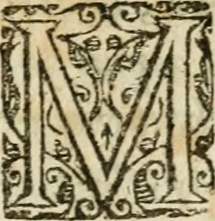 An illustration from Essay des merveilles de natvre et des plvs nobles actifices. Piece tres necessaire, à tous ceux qui font profession d'eloquence, 1636, leaf 212