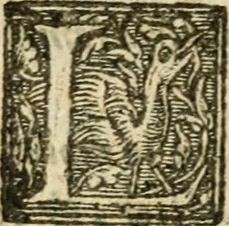 An illustration from Essay des merveilles de natvre et des plvs nobles actifices. Piece tres necessaire, à tous ceux qui font profession d'eloquence, 1636, leaf 215