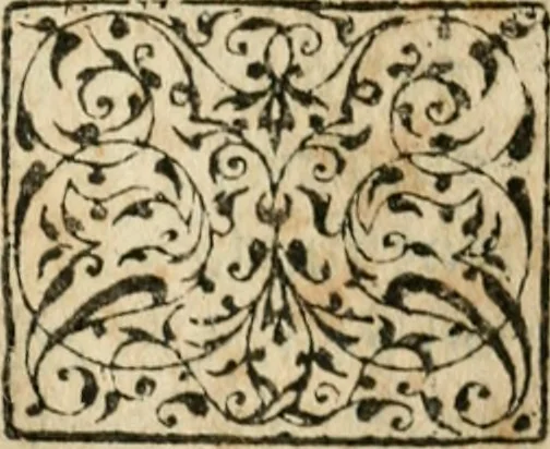 An illustration from Essay des merveilles de natvre et des plvs nobles actifices. Piece tres necessaire, à tous ceux qui font profession d'eloquence, 1636, leaf 304
