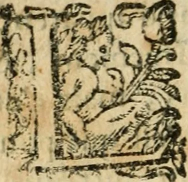 An illustration from Essay des merveilles de natvre et des plvs nobles actifices. Piece tres necessaire, à tous ceux qui font profession d'eloquence, 1636, leaf 305