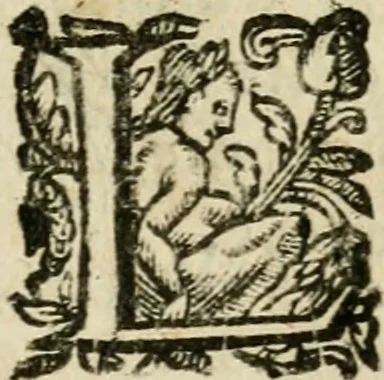 An illustration from Essay des merveilles de natvre et des plvs nobles actifices. Piece tres necessaire, à tous ceux qui font profession d'eloquence, 1636, leaf 314